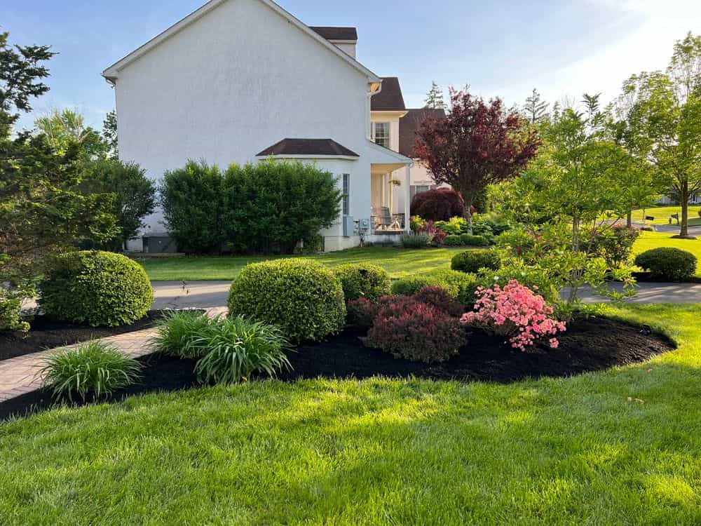 Hero image for Status Mow LLC